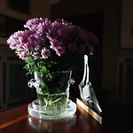Bella Di Ceciliano
