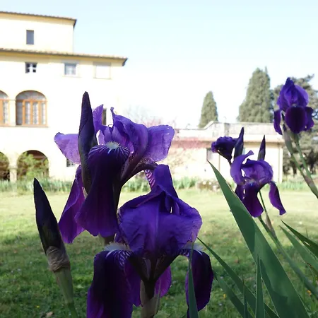 Bella Di Ceciliano Bed & Breakfast