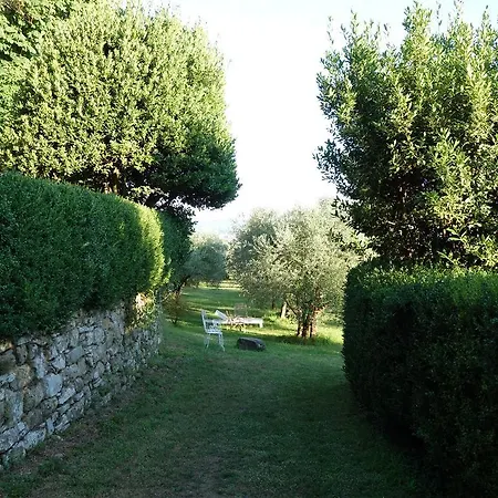 Bella Di Ceciliano Arezzo