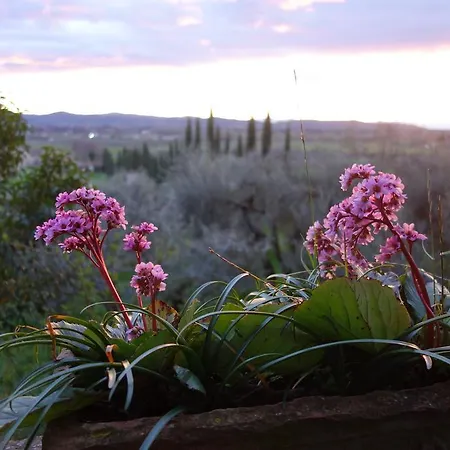 Bella Di Ceciliano Bed and breakfast