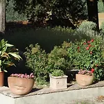 Bella Di Ceciliano Bed & Breakfast Arezzo